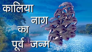 कालिया नाग के पूर्व जन्म की कहानी  Kaliya Naag  Hindu Rituals [upl. by Onilecram]