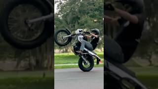 TW means Torque Wheelies tw200 wheelie tdub [upl. by Jamison358]