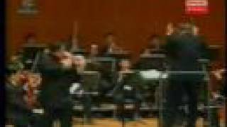 Sibelius Violin Concerto in d minor 1st mvt  Part 1 [upl. by Arramat]