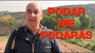 Podar me podarás [upl. by Proulx]