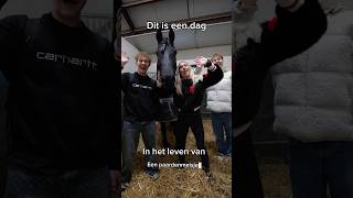 Het leven van een Paarden Meisje 🐎 Zit jij op een sport 🤔 ​⁠​⁠PaardenpraatTV [upl. by Midis]