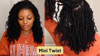 Mini Twist Tutorial Natural Hair  Curly Hairstyles Protective Style [upl. by Oetomit]