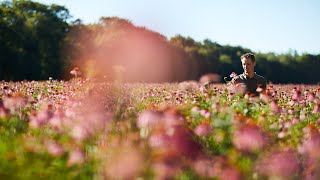 Beleef de AVogel tuinen met onze tuinmannen Joost en Frans [upl. by Orgel]