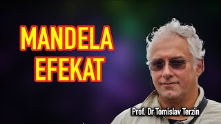 Tomislav Terzin  MANDELA EFEKAT [upl. by Balfour]