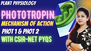 Phototropin CSIR NET  Sensory Photobiology CSIR NET  Plant physiology CSIR NET PYQ [upl. by Siloum]