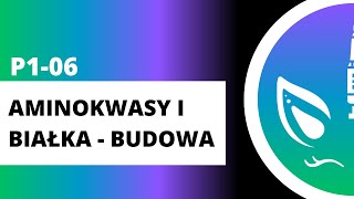 P106 Aminokwasy i białka  budowa [upl. by Nwahsar]