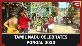 Pongal 2023 Festival Celebration Tamil Nadu Government Declares Holidays In Schools [upl. by Romona84]