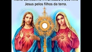 As 15 Orações de Santa Brígida Promessas preciosas e poderosas de Jesus impressas e recitadas [upl. by Buote]