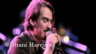 Dhani Harrison  SAVOY TRUFFLE COVER Beatles HD [upl. by Carnay]