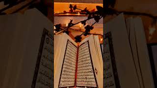 Surah Al Ahzaab  Quran Beautiful [upl. by Yrffej]