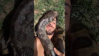 Dia 14 Buscando la Anaconda de 10M 🐍 [upl. by Einnos]