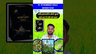 धान की बेस्ट खरपतवार नाशक दवा  Nominee Gold Kharpatwar Nashak Dava  dhan paddy shorts kheti [upl. by Ahsinahs]