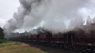 DMampIR 332 DampNE 28 North Shore Scenic Railroad Photo Charter [upl. by Yreffeg]