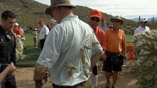 Fan attacked by jumping cactus as Rory McIlroy hits out of desert at Accenture [upl. by Rouvin]