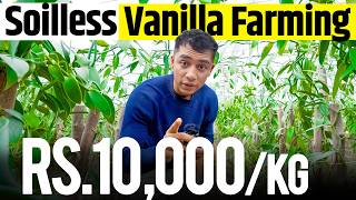 Rs10000kg Crop Vanilla Farming In Greenhouse Explained  Agritalk by Abhinav Roy [upl. by Aziza39]