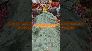 Mira Datar Dargah Sharif 👑 shortvideo saiyedalimiradatar dargah [upl. by Coulombe]