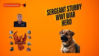 Fascinating History of Sergeant Stubby [upl. by Atekihc]