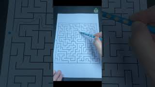 Can You Escape THIS Crazy Maze Challenge iqtest asmr satisfying [upl. by Bartholomew]