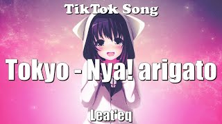 Leateq  Tokyo Nya arigato Lyrics  TikTok Song [upl. by Lleroj]