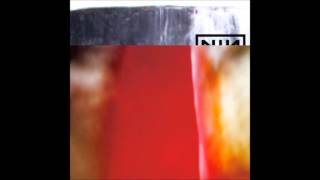 Nine Inch Nails  Please Appendage [upl. by Fosque620]