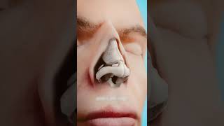 How A Nose Job Works  नासा की नौकरी कैसे काम करती है 3danimation shorts [upl. by Tsew]