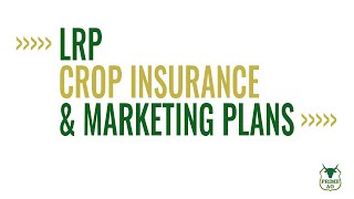 LRP Crop Insurance amp Marketing Plans [upl. by Ulah]