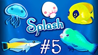 We Got The Humphead Parrot Fish  Splash Fish Sanctuary  Part 5 [upl. by Mishaan]