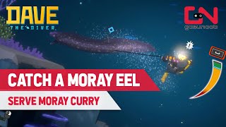 How to Catch Moray Eel in Dave the Diver  Serve Moray Curry to a Noisy Customer [upl. by Lynelle707]