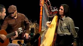 El Tren Lechero  Nicolas Carter on Paraguayan harp [upl. by Aramal]