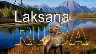 73 LAKSANA RUSA karaoke Pujian Couples For Christ [upl. by Hills]