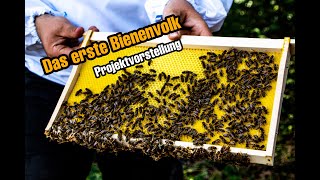 Bienenhaltung  die ersten Schritte und Projektvorstellung [upl. by Yllek]