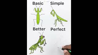 grasshopper drawing [upl. by Ut]