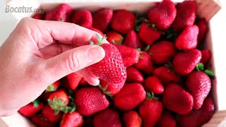 Cómo conservar Fresas para que duren más días [upl. by Etiragram]