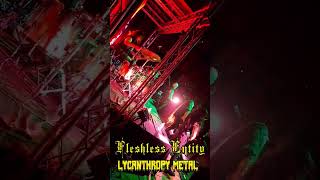 Blasphemous Death Metal con Fleshless Entity metal deathmetalclassics music metaleros [upl. by Arekat]