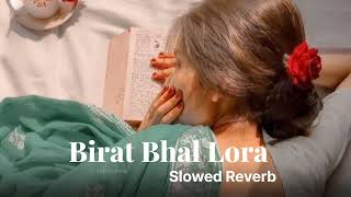 Birat Bhal Lora  Bidisha Devi amp Achurjya Borpatra  Slowed Reverb AxomiaLofi [upl. by Kcirtapnaes]