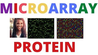 🪀🛑 Protein Microarray MICROARRAY DATA ANALYSIS [upl. by Kopp]