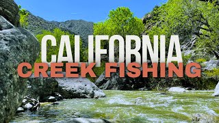 Fishing a Creek in the Mountains of California [upl. by Chandler495]