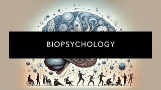 Understanding Biopsychology [upl. by Pollerd]