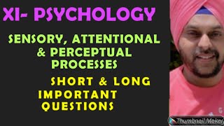 SENSORY ATTENTIONAL AND PERCEPTUAL PROCESSES SHORT amp LONG MOST IMPORTANT QUESTIONS [upl. by Aydiv951]