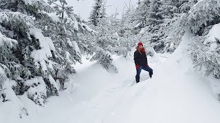 Schneeschuhwanderung auf die Hornisgrinde Nordschwarzwald am 091217 [upl. by Chaddy238]