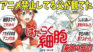 【 ゆっくり 海外の反応集】はたらく細胞に対する 海外の反応 [upl. by Duong]