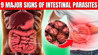 9 Major Signs of Intestinal Parasites and How to Treat Them [upl. by Niai]