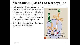 Antibiotics that inhibit protein synthesis Molecular biology [upl. by Eikin269]