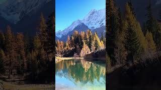 Amazing Fall Colors in Lötschental  Golden Autumn in Switzerland 🍁🍂🇨🇭 swissalps travel [upl. by Ferrigno]