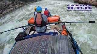 Horn Creek Rapid  Grand Canyon  October 2023 [upl. by Cordy]