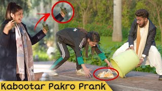 Grab My Pigeon Prank  Prank in Pakistan [upl. by Keriann719]