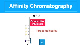 Affinity Chromatography With Animation [upl. by Naivaf804]