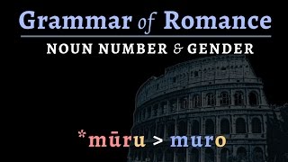 Romance Languages noun number amp gender [upl. by Rubetta]