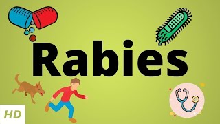 Rabies Causes SIgn and Symptoms Diagnosis and Treatment [upl. by Oza794]