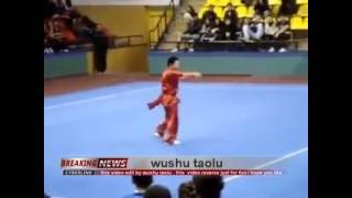 wushu taolu the original video [upl. by Leuqram727]